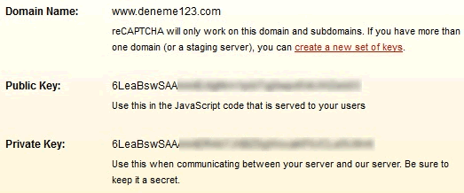 Recaptcha public ve private key
