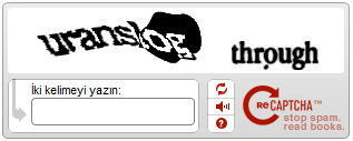 recaptcha ekran görüntüsü